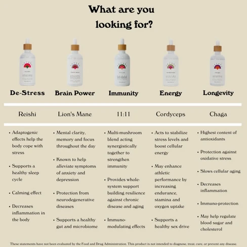 Rowan Clothing Co. Rainbo Chaga 4 Rowan Clothing Co. Rainbo Chaga